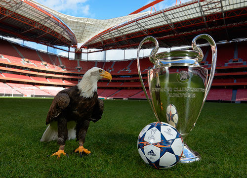 又上新了？第五人格时隔一年半终于官宣新地图，又要背刷点了……